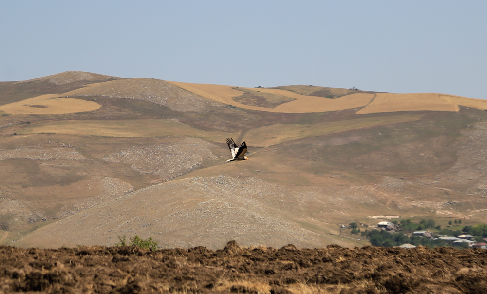 armenie-25