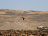 armenie-25