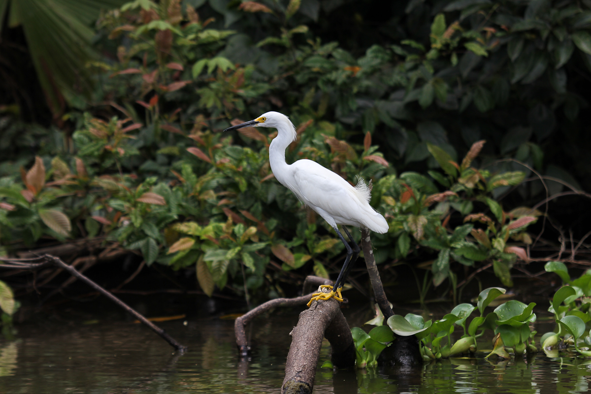 costa-rica-4304