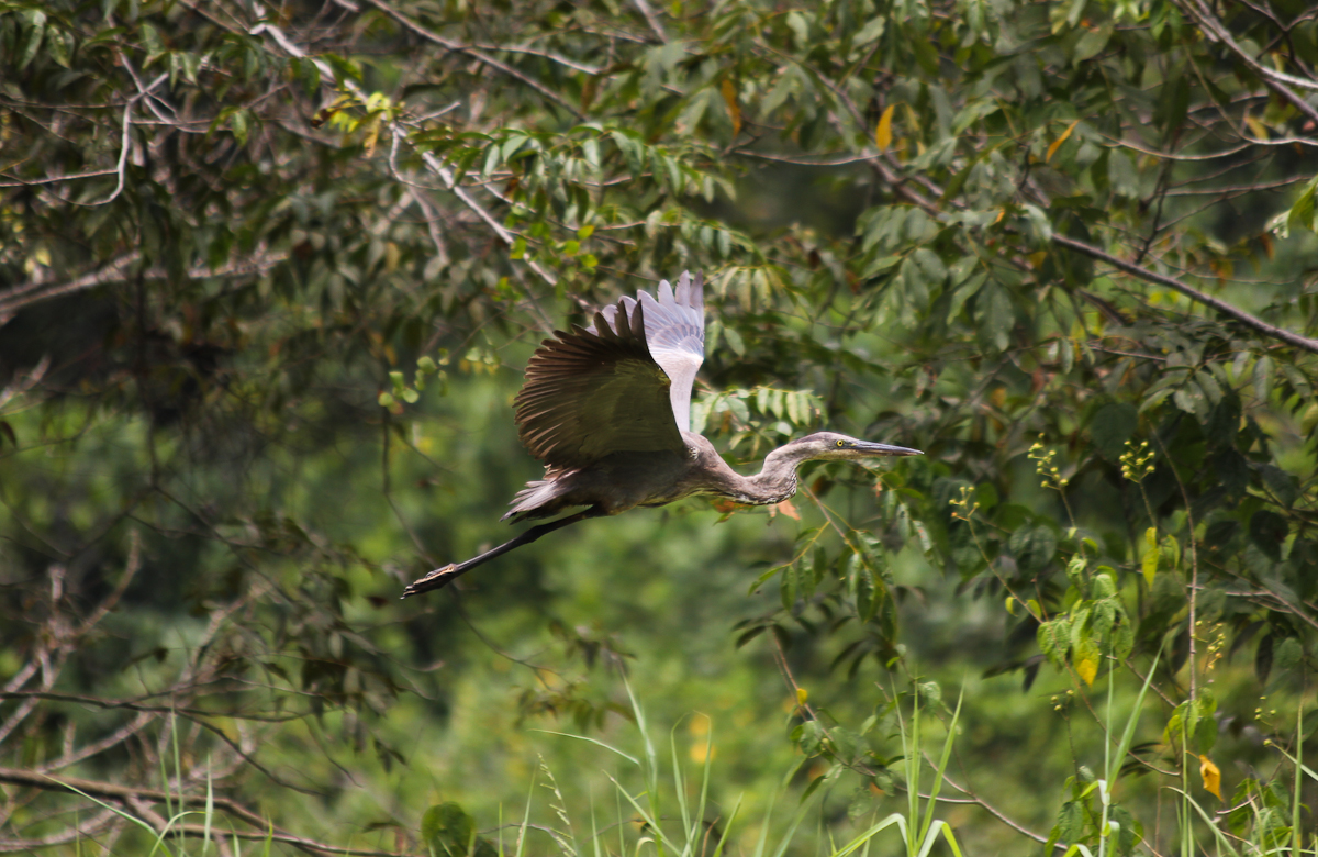 costa-rica-4312