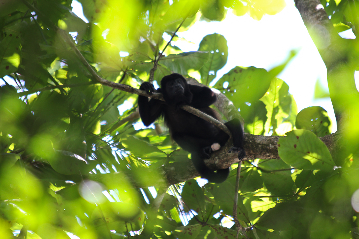 costa-rica-4423