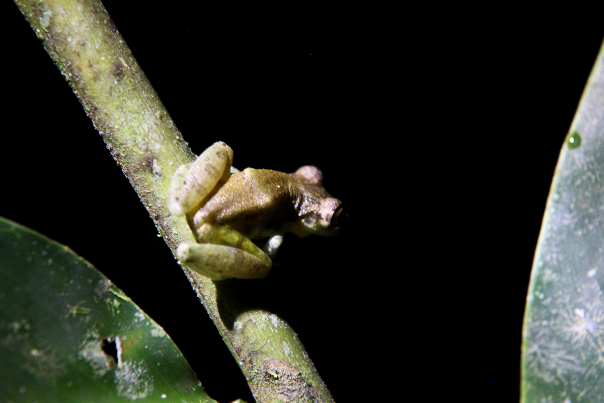 costa-rica-4475