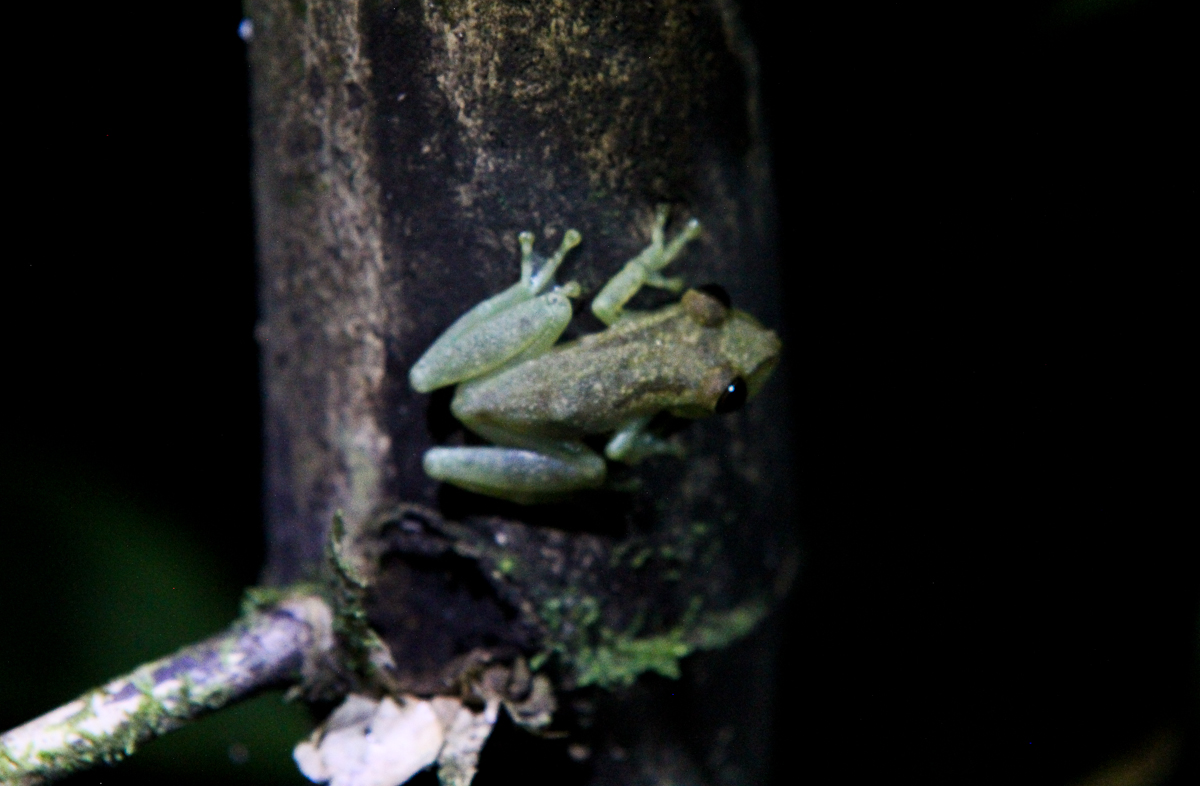 costa-rica-4514