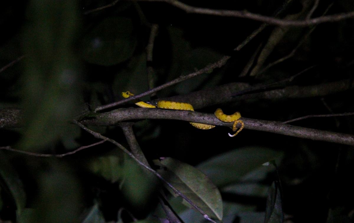 costa-rica-4531
