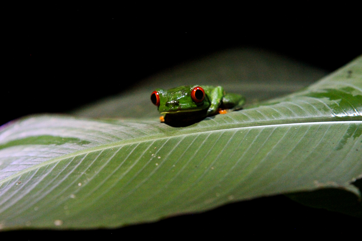costa-rica-4568