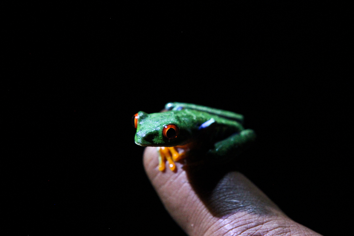 costa-rica-4574