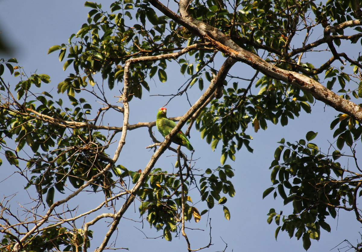costa-rica-4650