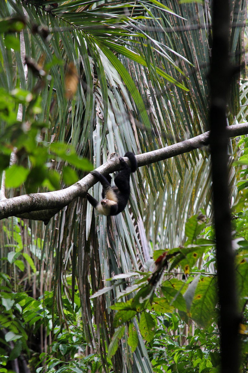 costa-rica-4909