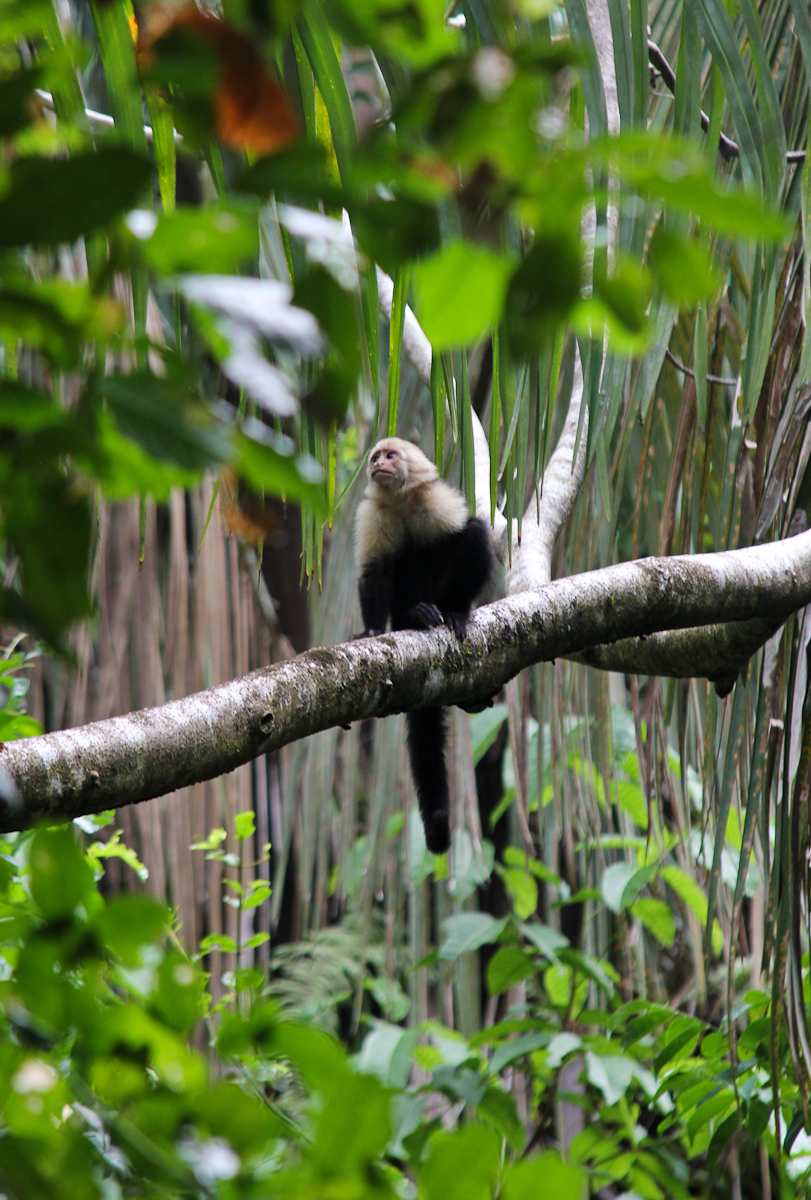costa-rica-4913