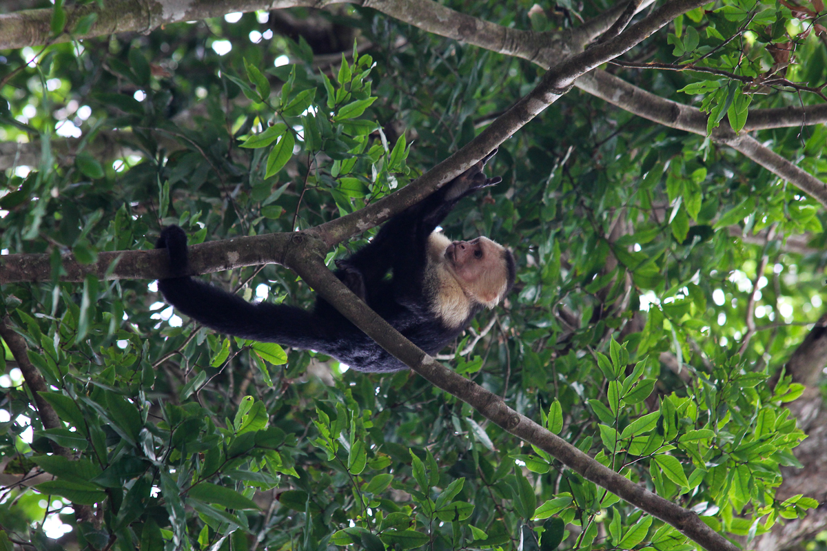 costa-rica-4955