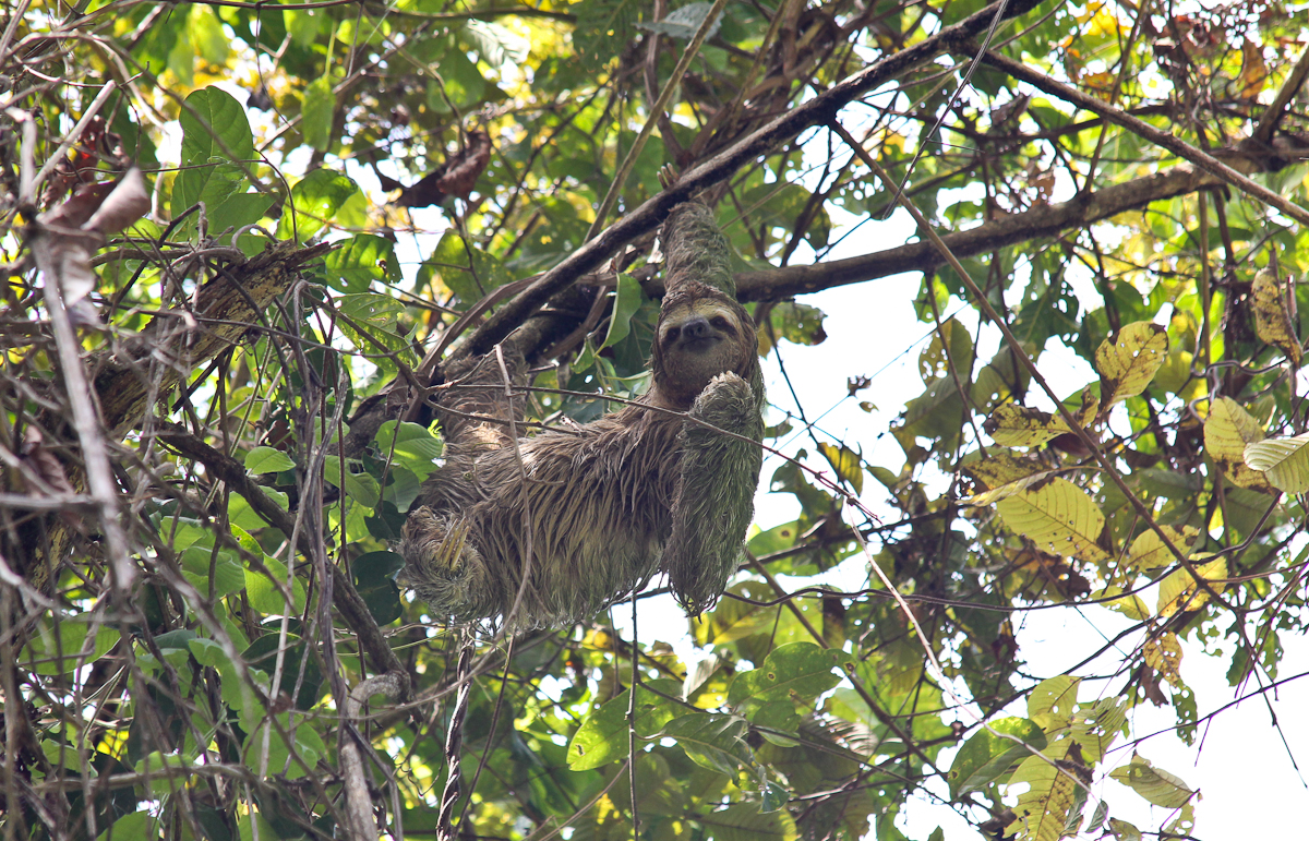 costa-rica-4971