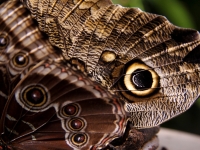 costa-rica-4210