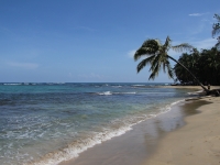 costa-rica-4265
