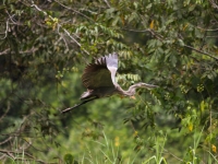 costa-rica-4312