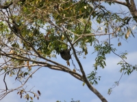 costa-rica-4365