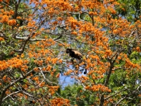 costa-rica-4402
