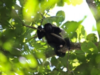 costa-rica-4423