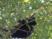costa-rica-4449