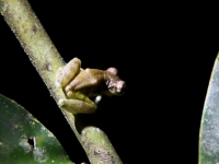 costa-rica-4475