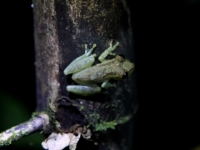 costa-rica-4514