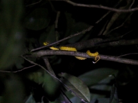 costa-rica-4531