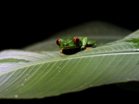 costa-rica-4568