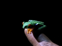 costa-rica-4574