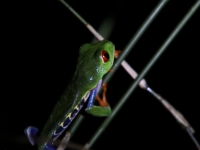 costa-rica-4598