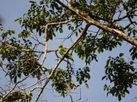 costa-rica-4650