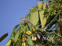 costa-rica-4681