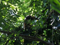 costa-rica-4774