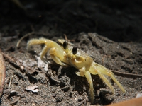 costa-rica-4836