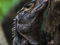 costa-rica-4891