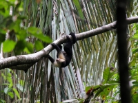 costa-rica-4909