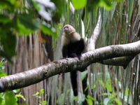 costa-rica-4913