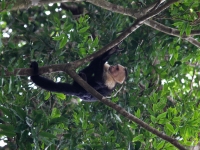 costa-rica-4955
