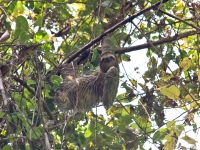 costa-rica-4971