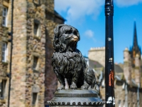 edimbourg-ecosse-2016--3