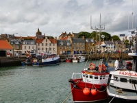 pittenweem-ecosse-2016--55