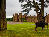 scone-palace-ecosse-2016--37