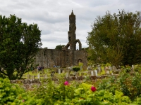 st-andrews-ecosse-2016--41