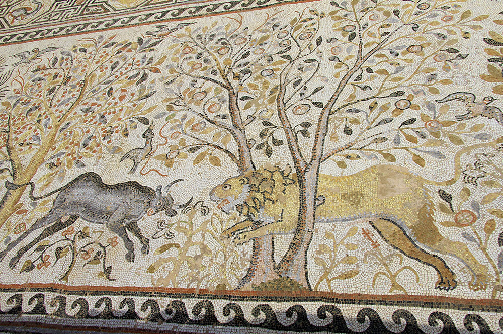 bitola-mosaique-02
