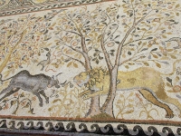 bitola-mosaique-02