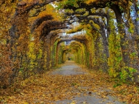 vienne-6