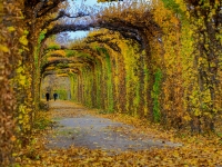 vienne-7